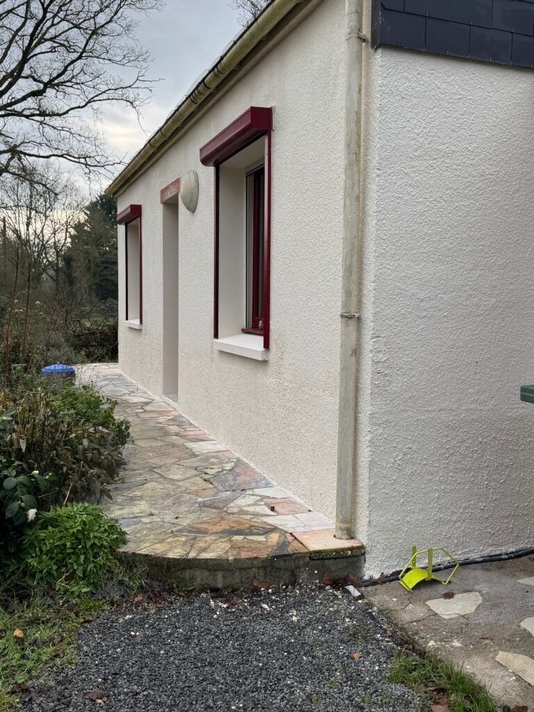 Traitement des remontées capillaires et peinture des façades